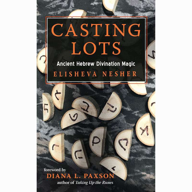 Casting lots book