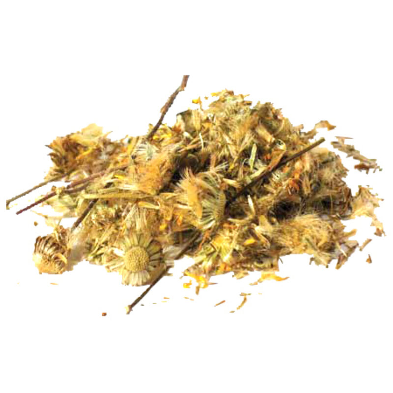 Arnica flowers magical herb 07330
