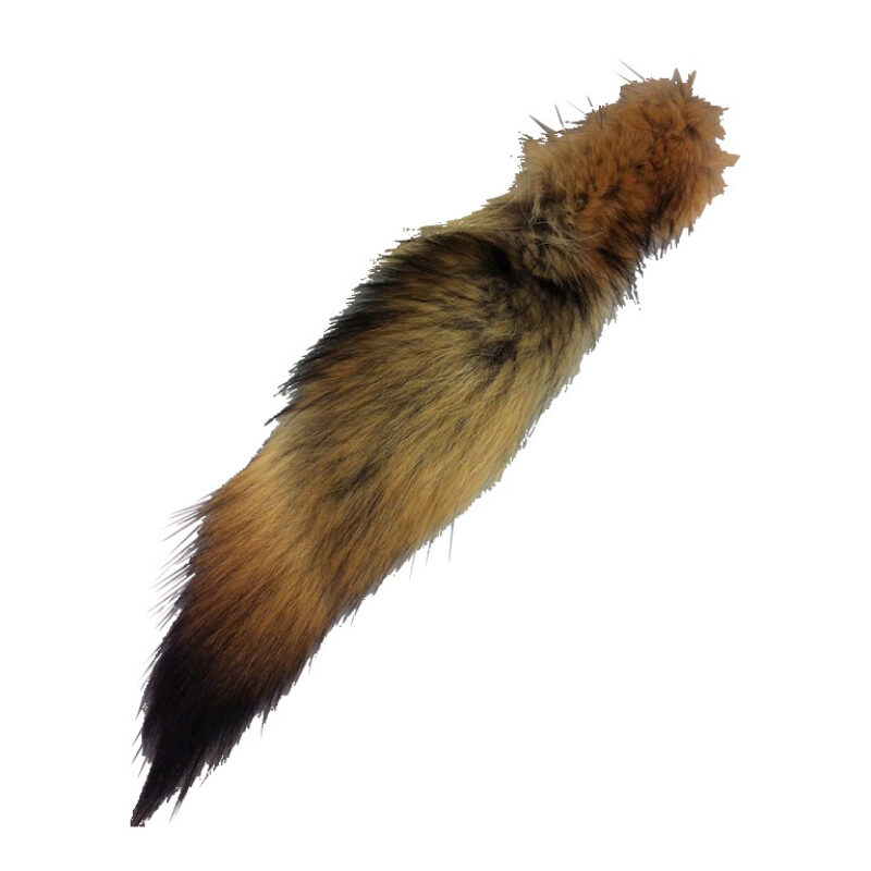 Coyote tailsss ifa 06886