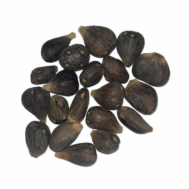 Inkines 4 eye santeria