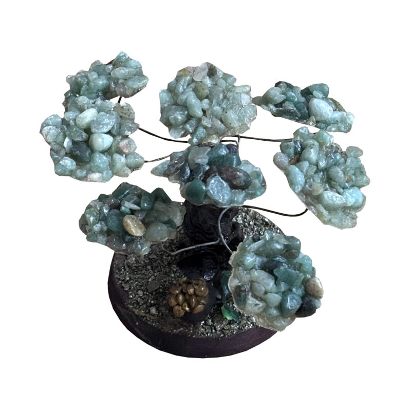 Jade money tree