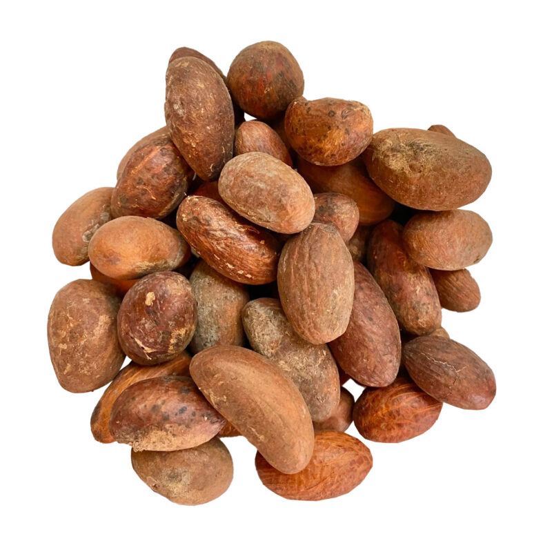 Kola nuts bitter