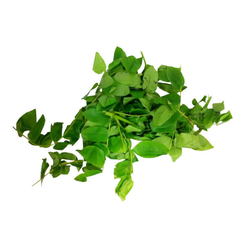 Quita maldicion fresh herb 85139