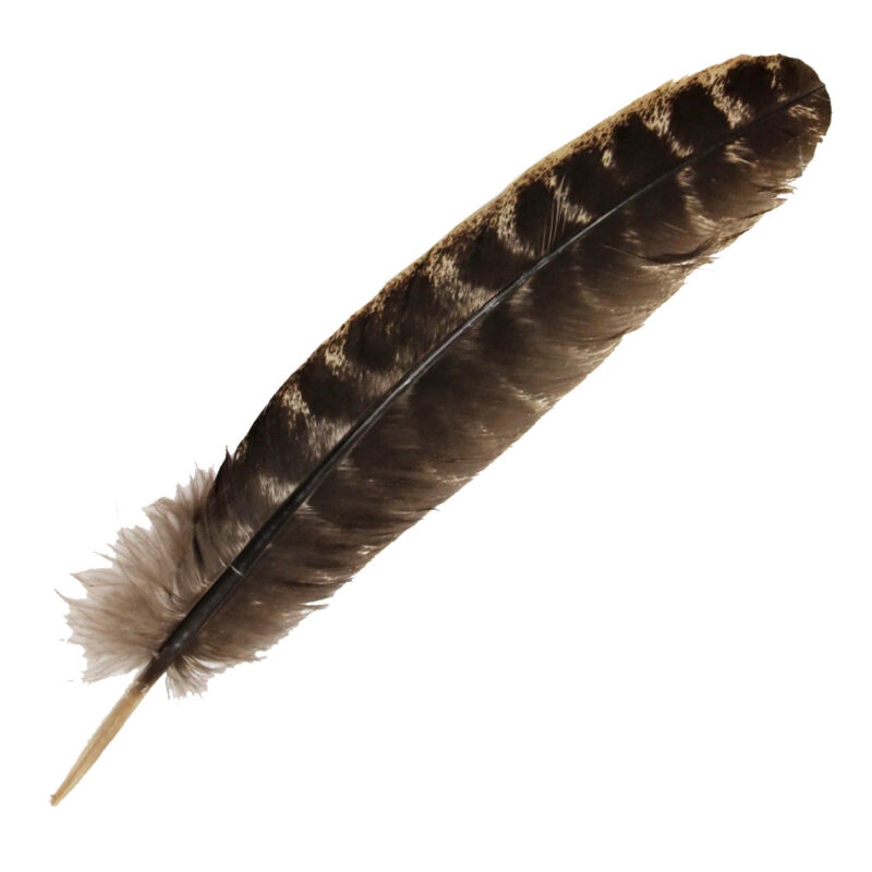 Smudging feather barred wing 12 inch